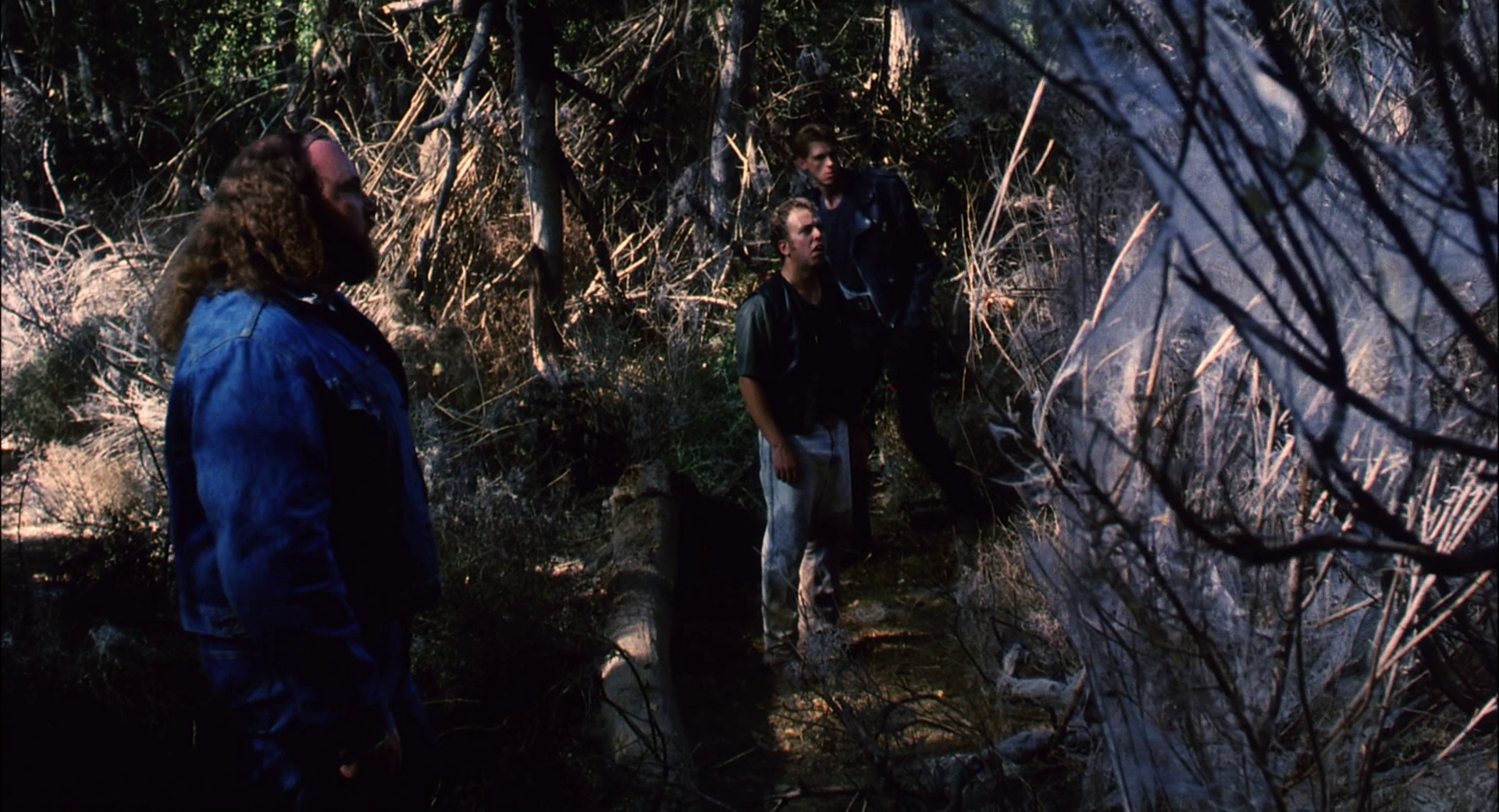 魔鬼褓姆剧照的剧照