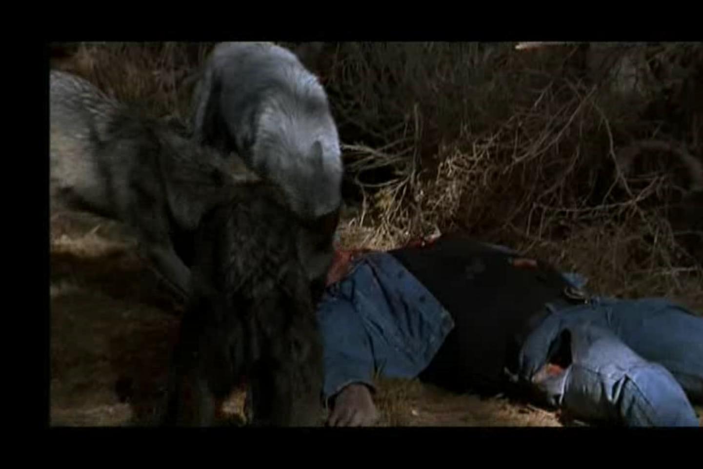 魔鬼褓姆剧照的剧照