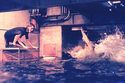 深海狂鲨剧照的剧照