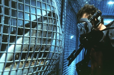 深海狂鲨剧照的剧照