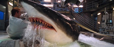 深海狂鲨剧照的剧照