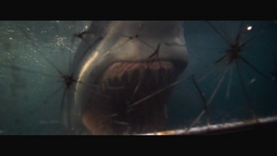 深海狂鲨剧照的剧照