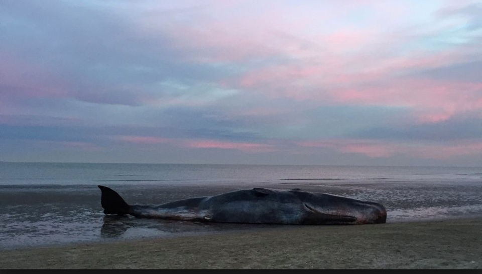 汉娜剧照的剧照