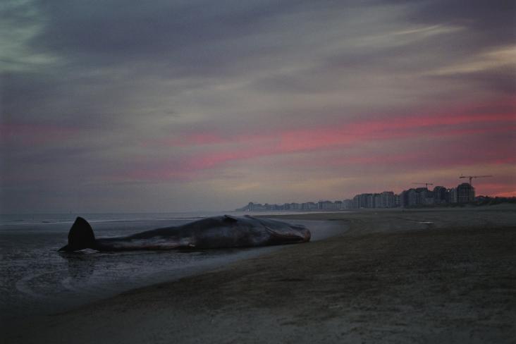 汉娜剧照的剧照