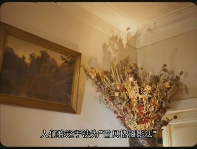 雷贝格与塔可夫斯基：《潜行者》的反面剧照的剧照