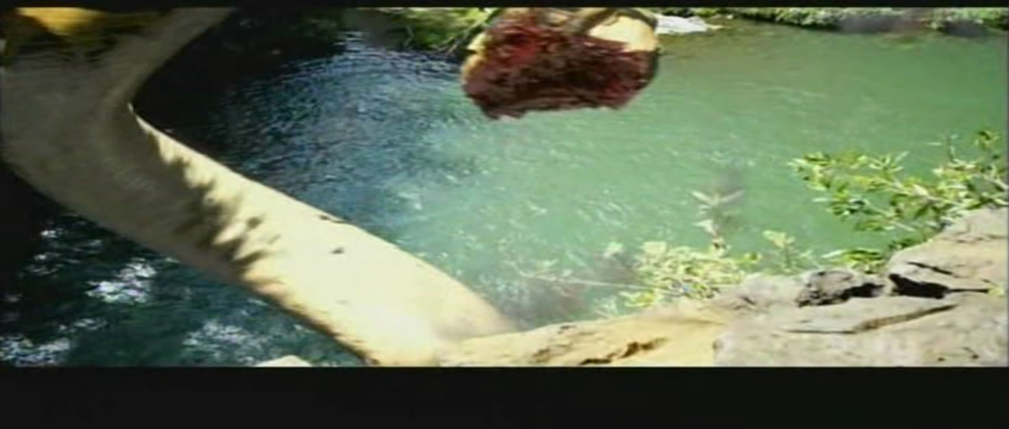 蛇鱼怪剧照的剧照