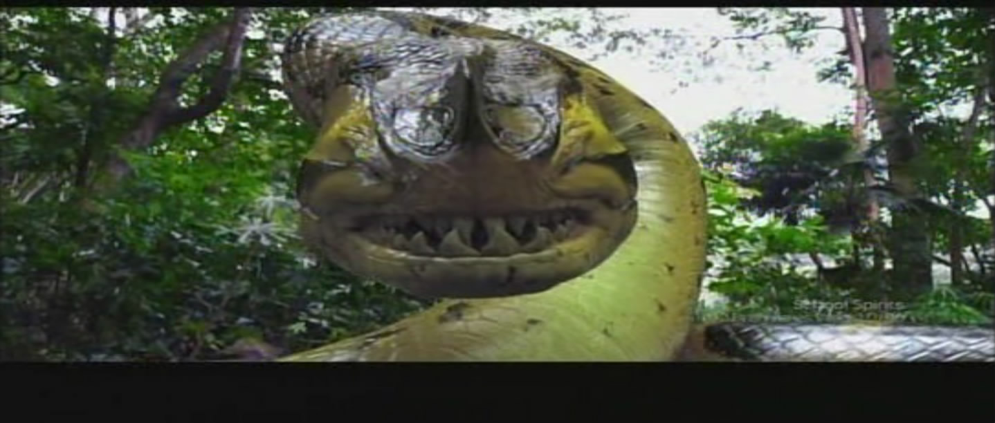 蛇鱼怪剧照的剧照