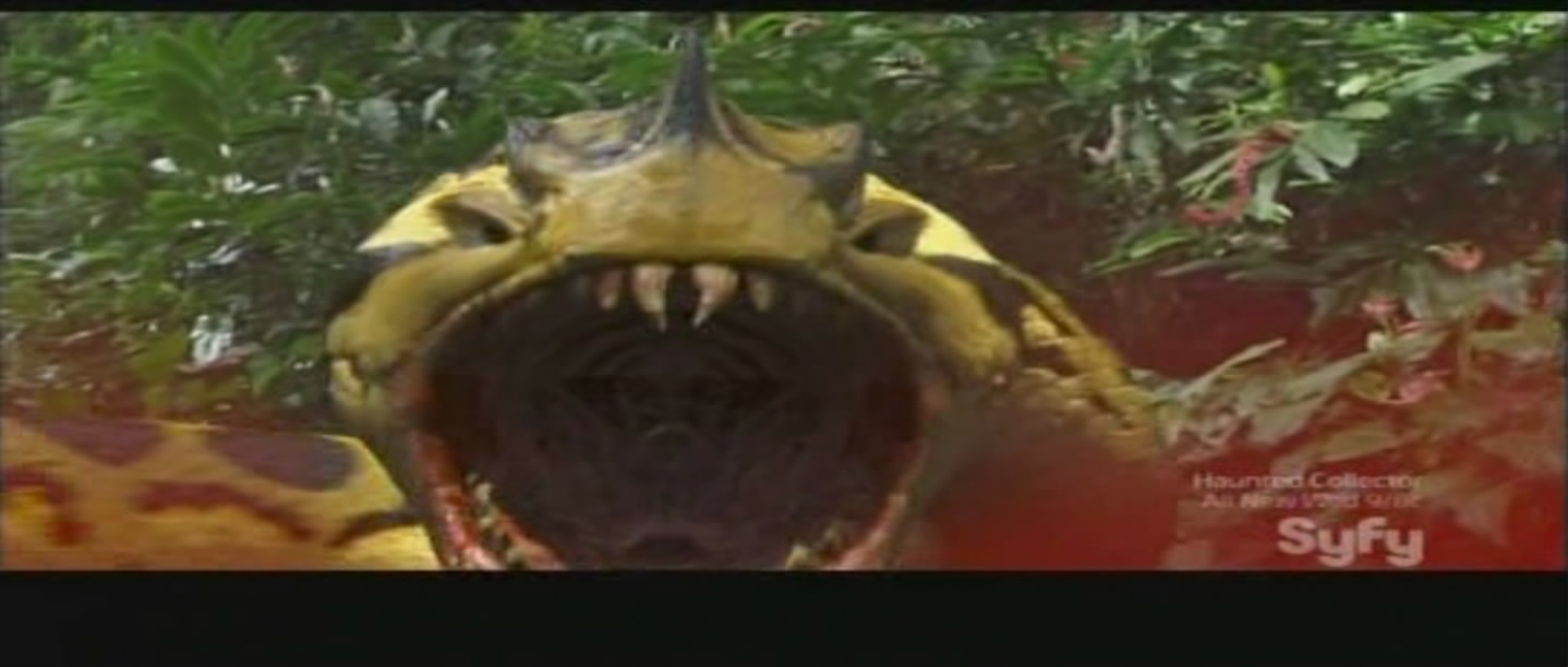 蛇鱼怪剧照的剧照