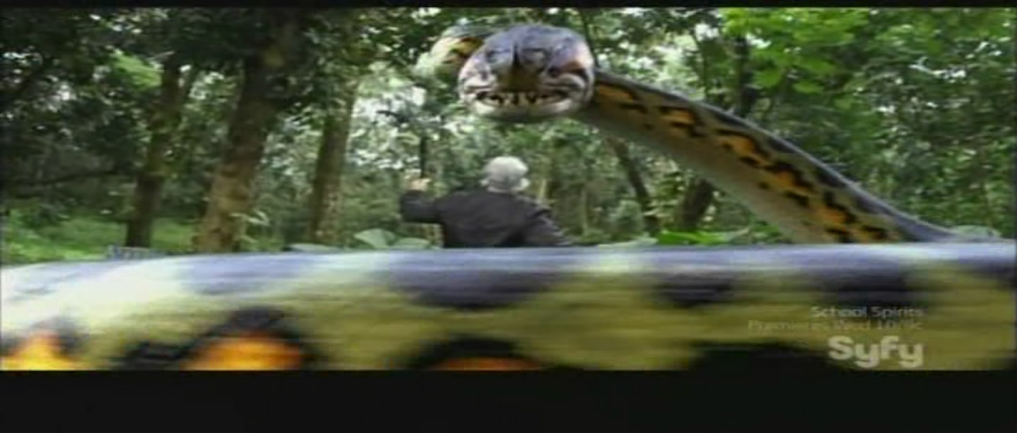 蛇鱼怪剧照的剧照