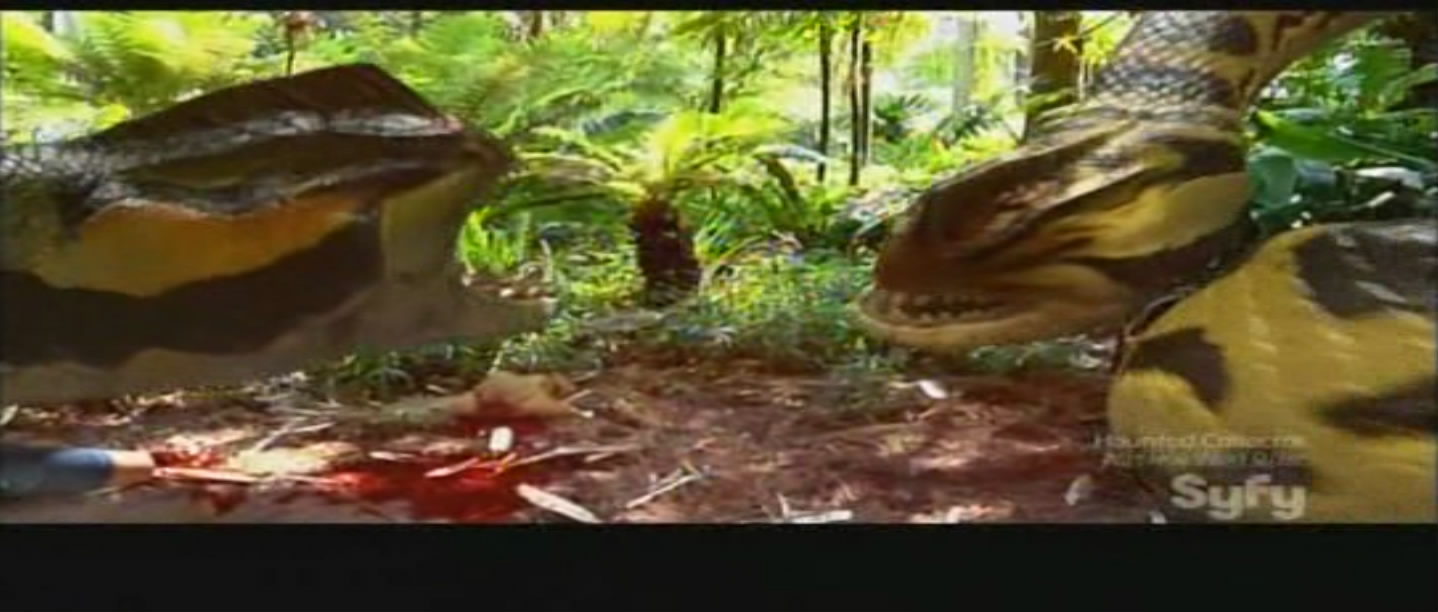 蛇鱼怪剧照的剧照