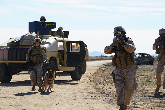 梅根·利维剧照的剧照