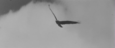 乱世英豪剧照的剧照