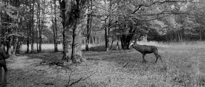 乱世英豪剧照的剧照