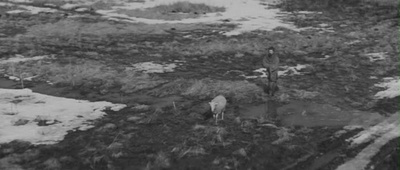 乱世英豪剧照的剧照