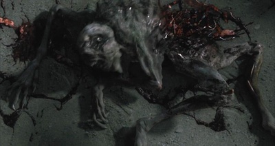 黑夜勿怕剧照的剧照