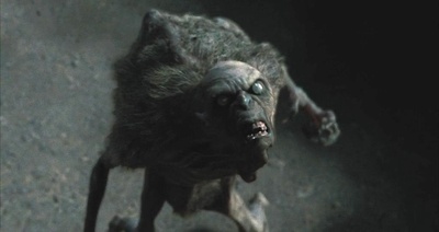 黑夜勿怕剧照的剧照