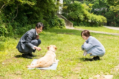 某一天剧照的剧照