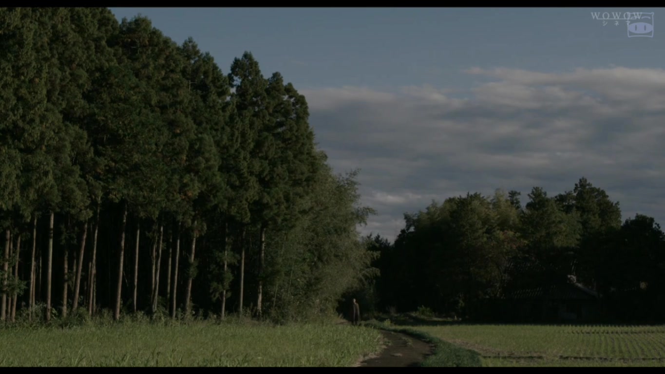 藤田嗣治剧照的剧照