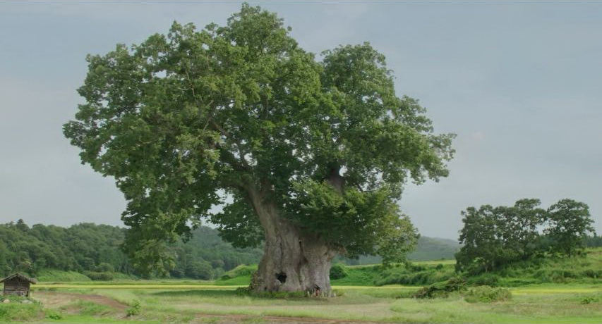 藤田嗣治剧照的剧照