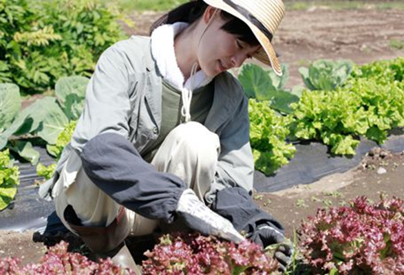 山中的汤姆先生剧照的剧照
