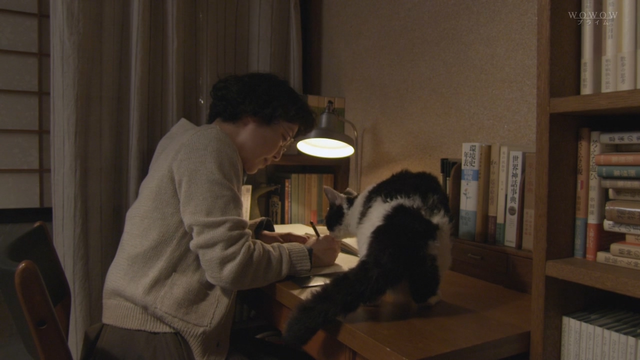 山中的汤姆先生剧照的剧照