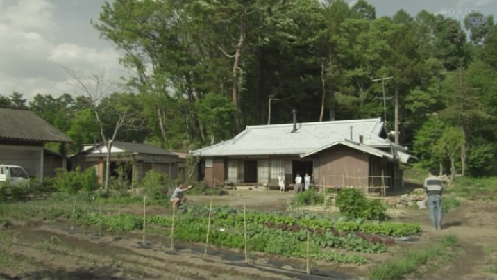 山中的汤姆先生剧照的剧照