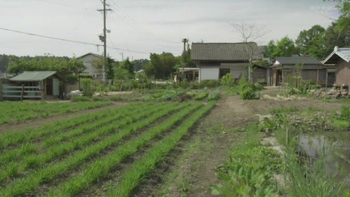 山中的汤姆先生剧照的剧照