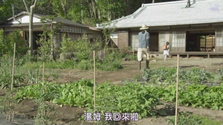 山中的汤姆先生剧照的剧照