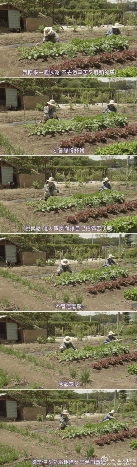 山中的汤姆先生剧照的剧照