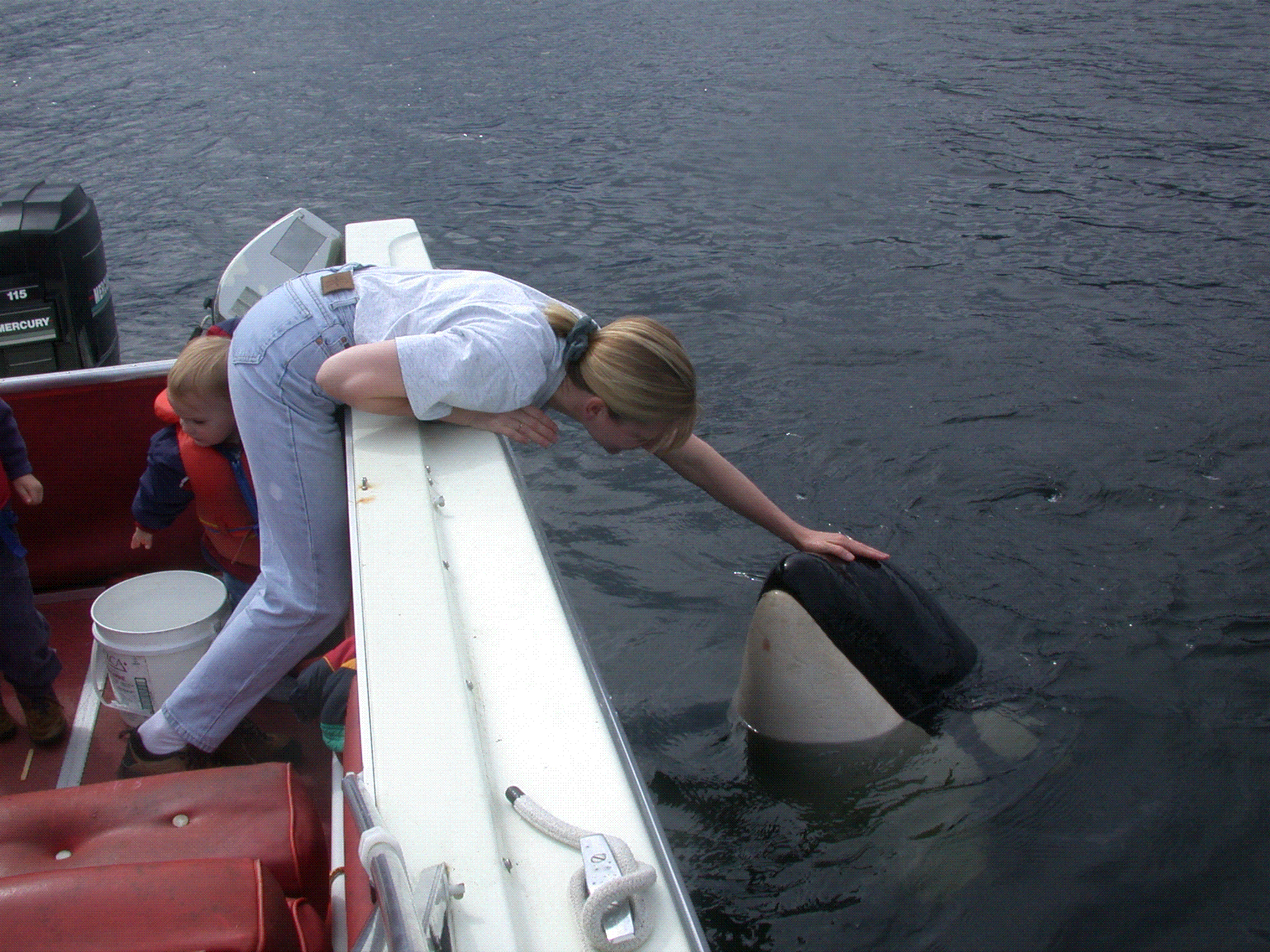 虎鲸剧照的剧照