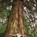 亚瑟和他的迷你王国2剧照