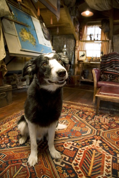 亚瑟和他的迷你王国2剧照的剧照