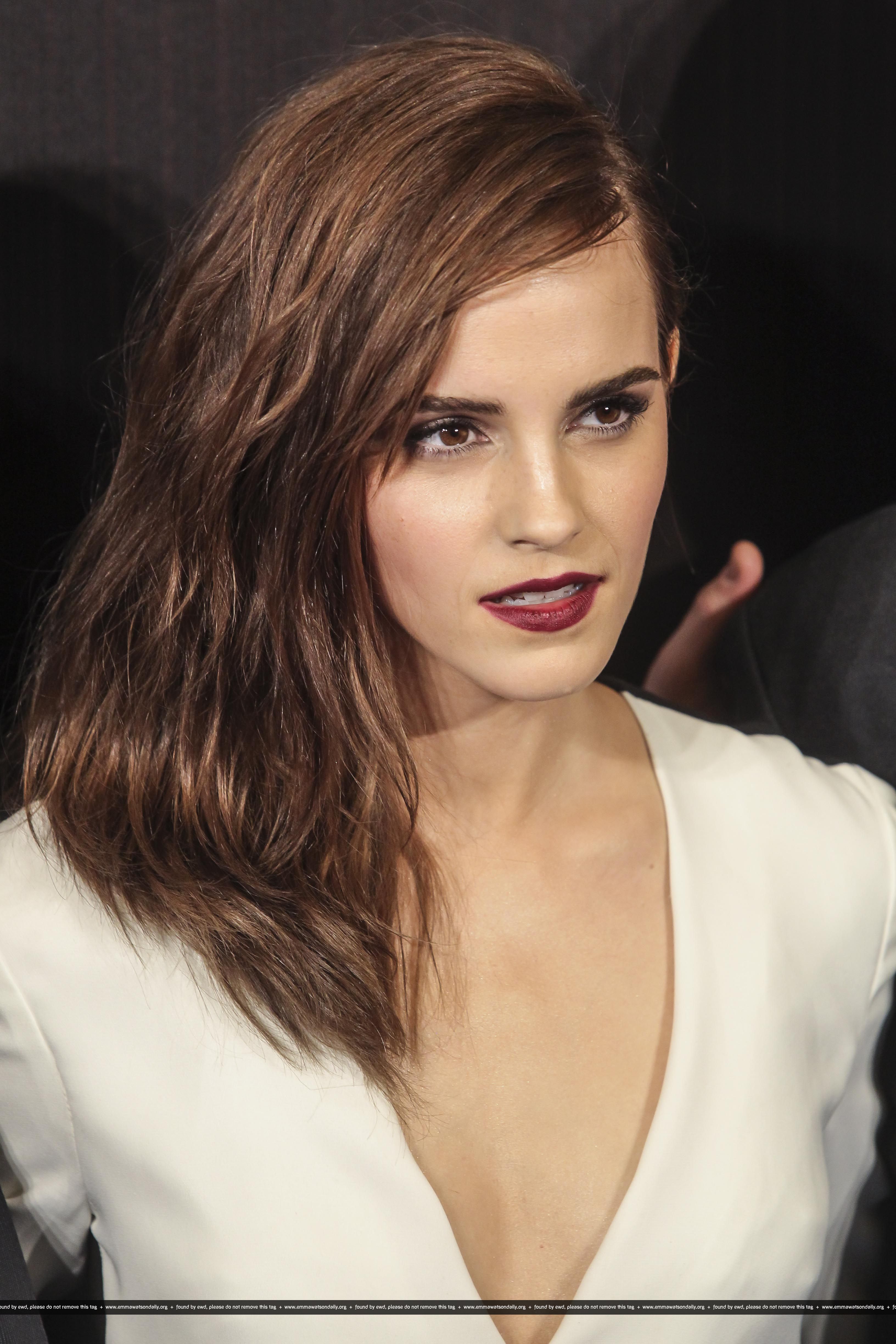 诺亚方舟：创世之旅剧照的剧照