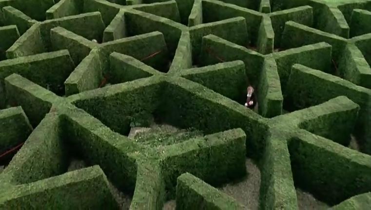 简·奥斯汀的遗憾剧照的剧照