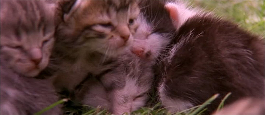 绿行星剧照的剧照