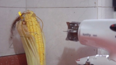 小胖妞3剧照的剧照