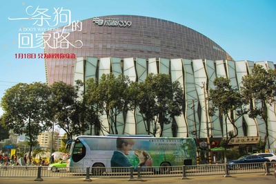 一条狗的回家路剧照的剧照