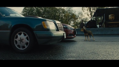 一条狗的回家路剧照的剧照