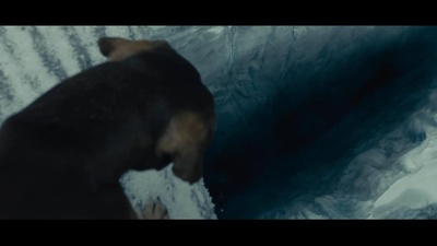 一条狗的回家路剧照的剧照