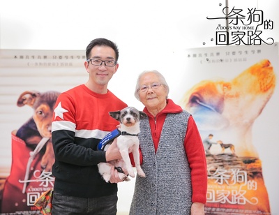 一条狗的回家路剧照的剧照