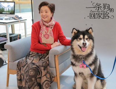 一条狗的回家路剧照的剧照