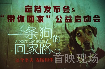 一条狗的回家路剧照的剧照