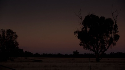 关于E的全部剧照的剧照