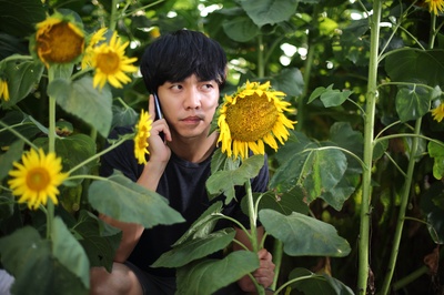 今天的恋爱剧照的剧照