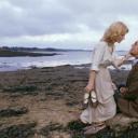 我的美国舅舅剧照