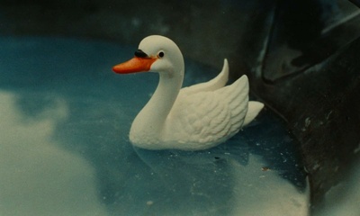 我的美国舅舅剧照的剧照