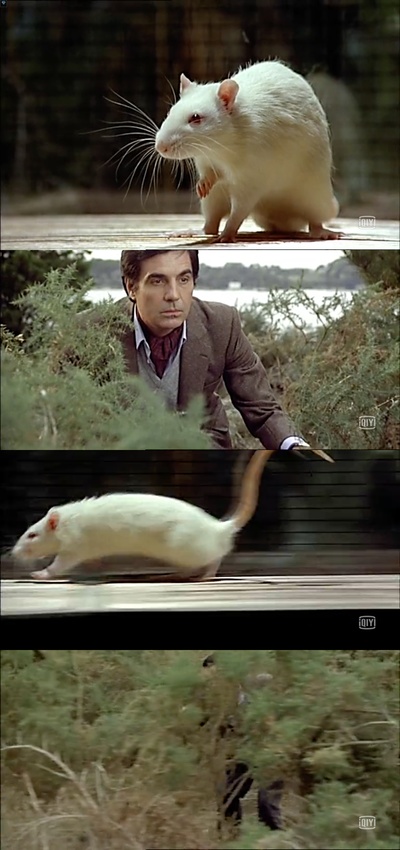 我的美国舅舅剧照的剧照