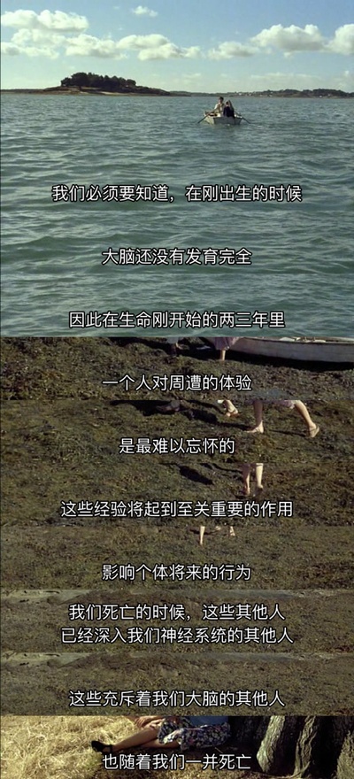 我的美国舅舅剧照的剧照