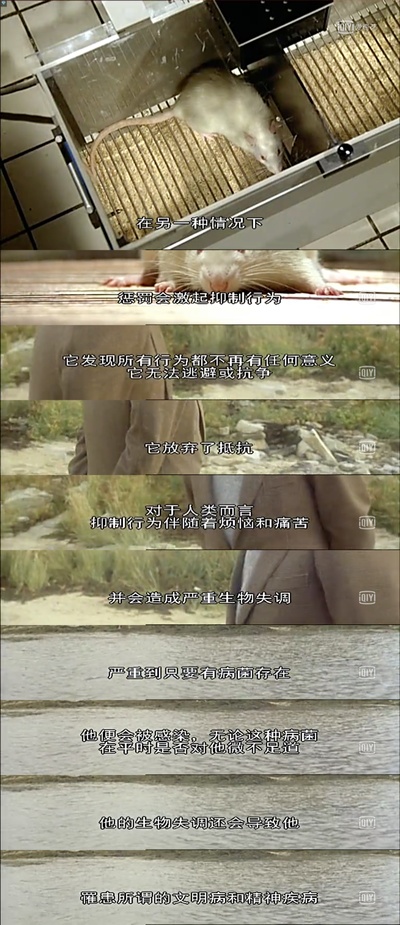 我的美国舅舅剧照的剧照