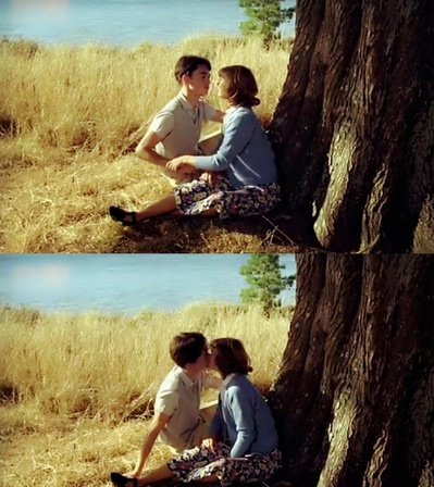 我的美国舅舅剧照的剧照